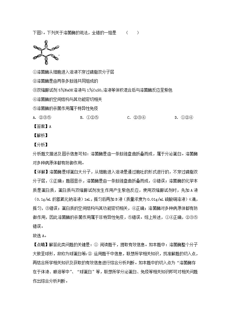 黑龙江省哈尔滨市六中2020届高三（10月）调研生物试题第3页