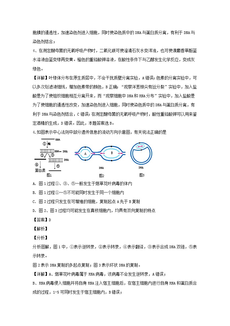 湖南省郴州市2020届高三第一次教学质量监测（12月）生物试题03