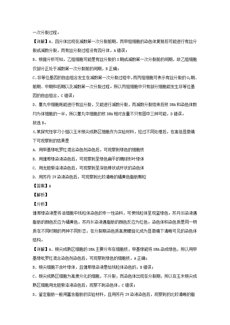 四川省绵阳市2020届高三第一次（11月）诊断性考试生物试题03