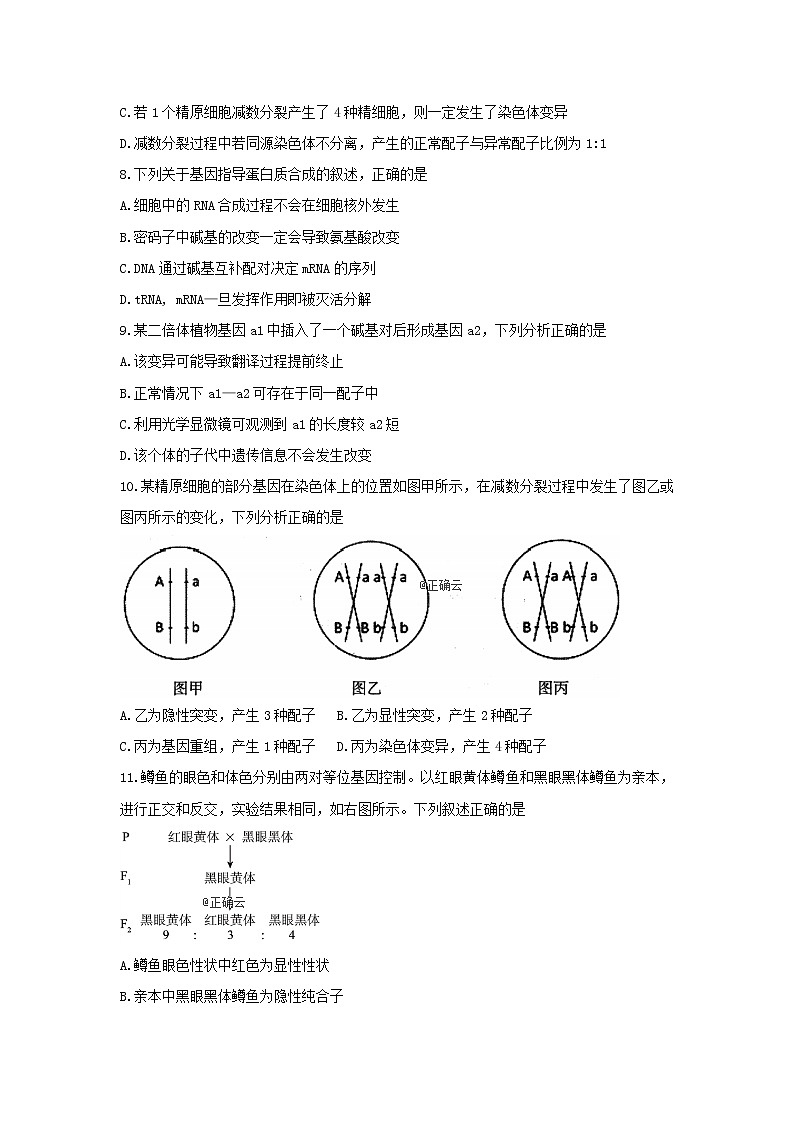 四川省遂宁市第二中学2020届高三上学期11月周考生物试卷第2页