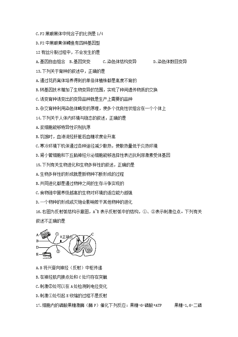 四川省遂宁市第二中学2020届高三上学期11月周考生物试卷第3页