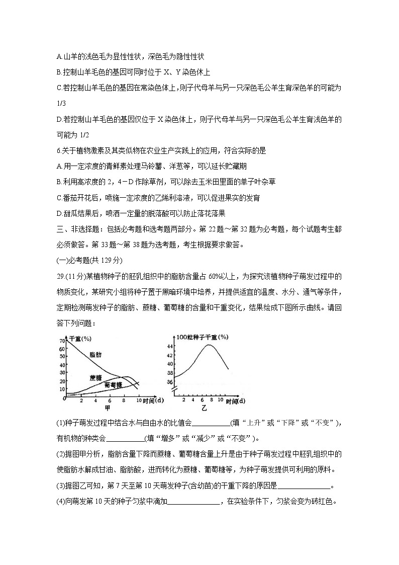 云南省大理州2020届高三11月统测试题 生物02