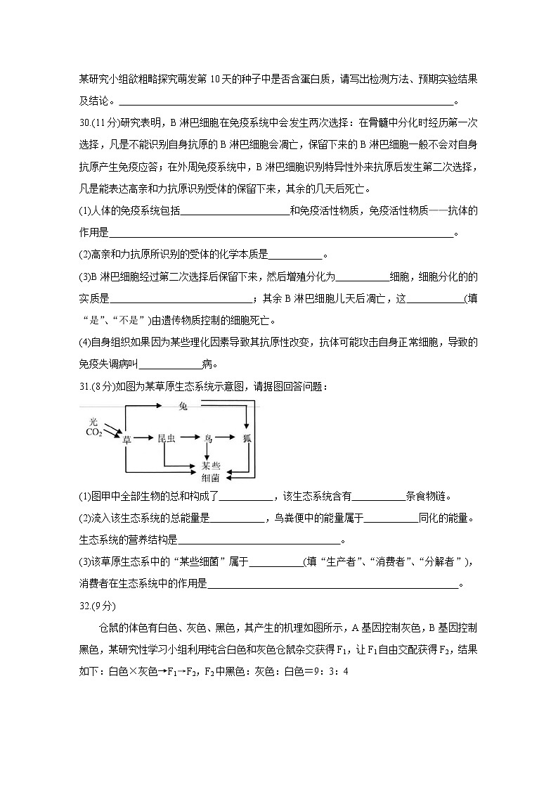 云南省大理州2020届高三11月统测试题 生物03