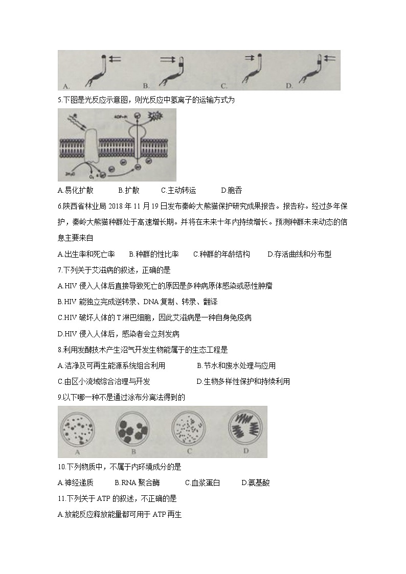 浙江省教育绿色评价联盟2020届高三10月适应性考试 生物02