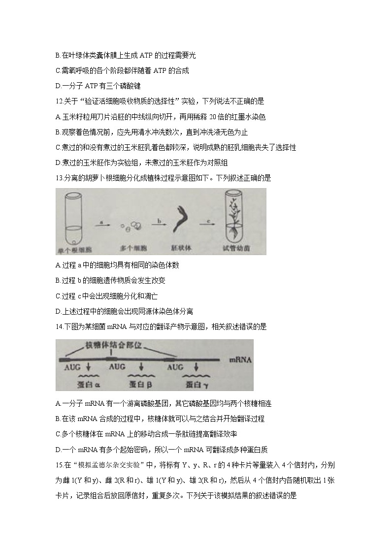 浙江省教育绿色评价联盟2020届高三10月适应性考试 生物03