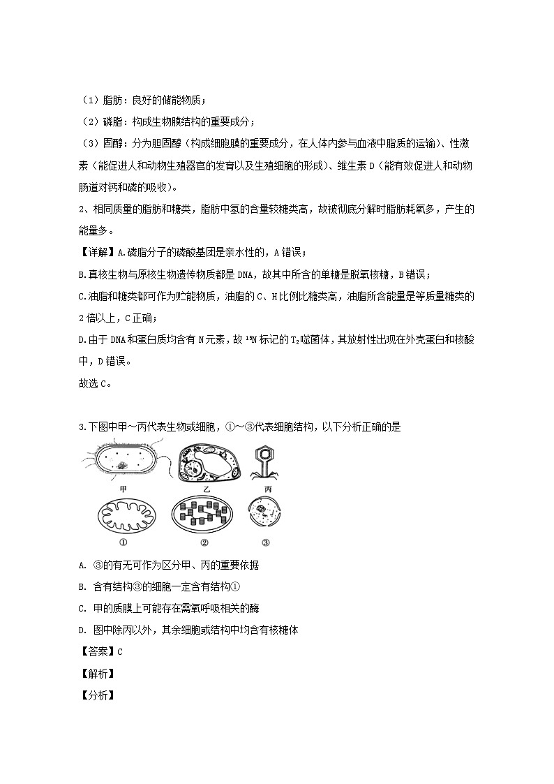 浙江省丽水四校2020届高三（9月）阶段性生物试题02