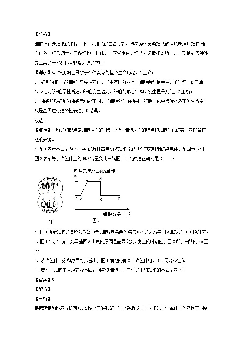 重庆市2020届高三（11月）一诊调研测试理综生物试题03