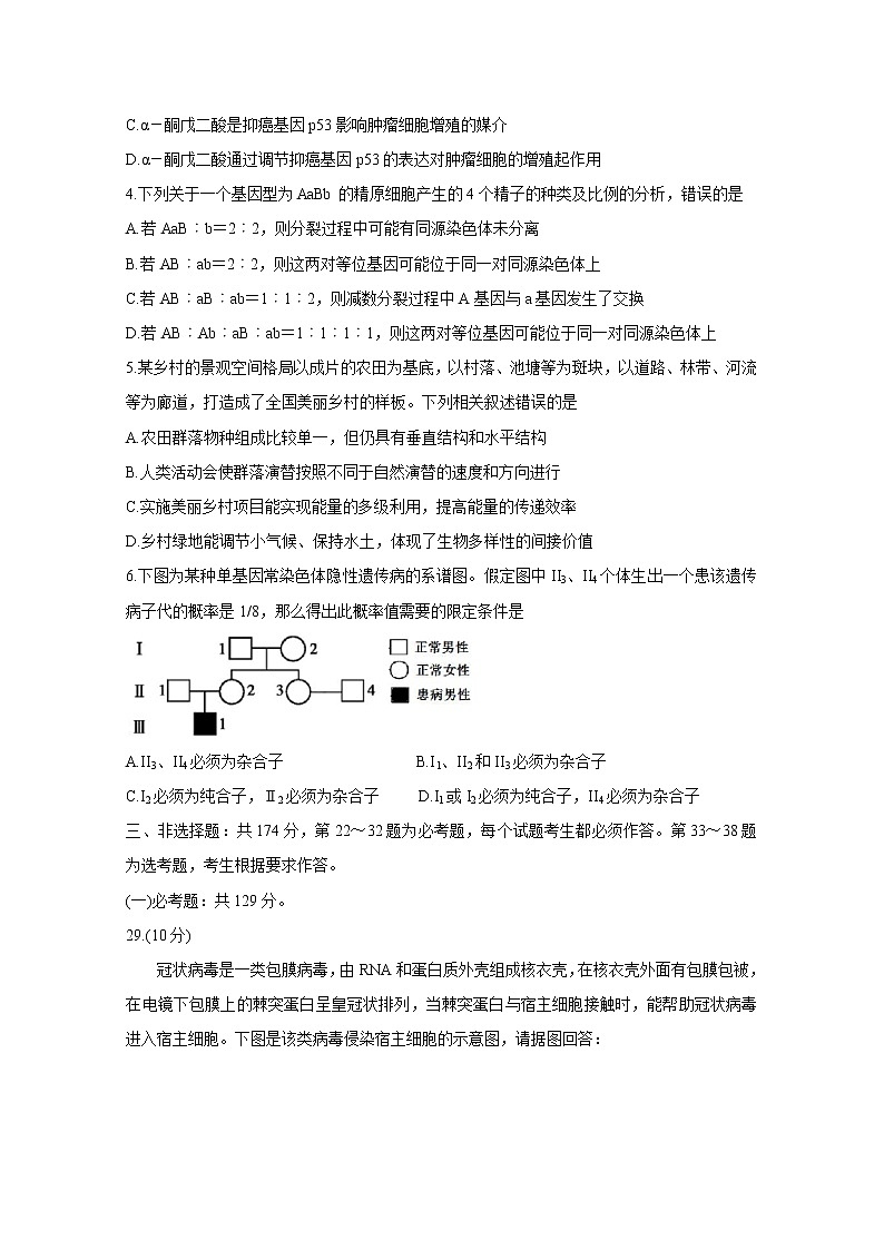 福建省泉州市2020届高三下学期3月适应性线上测试卷 生物第2页