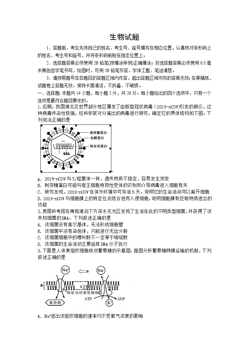 山东省济宁市2020届高三3月线上一模自我检测生物试卷01