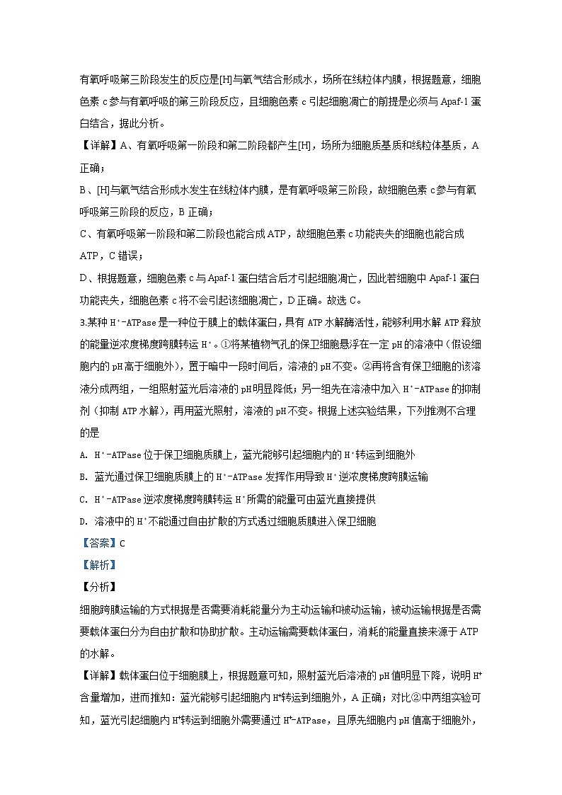 天津市实验中学2020届高三下学期4月测试生物试题02