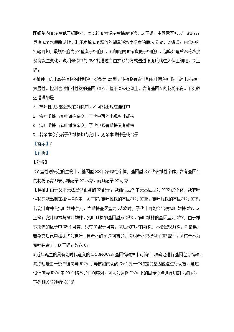 天津市实验中学2020届高三下学期4月测试生物试题03
