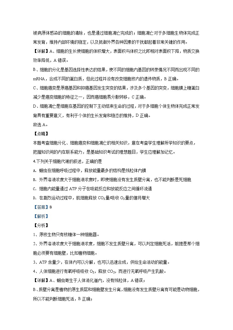 天津市实验中学2020届高三下学期4月第一次测试生物试题03