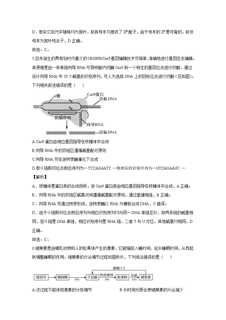 天津市实验中学2020届高三下学期4月基础测试生物试题03