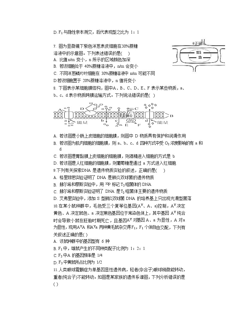 广西省桂林市逸仙中学2020届高三上学期第四次双周考生物试卷02