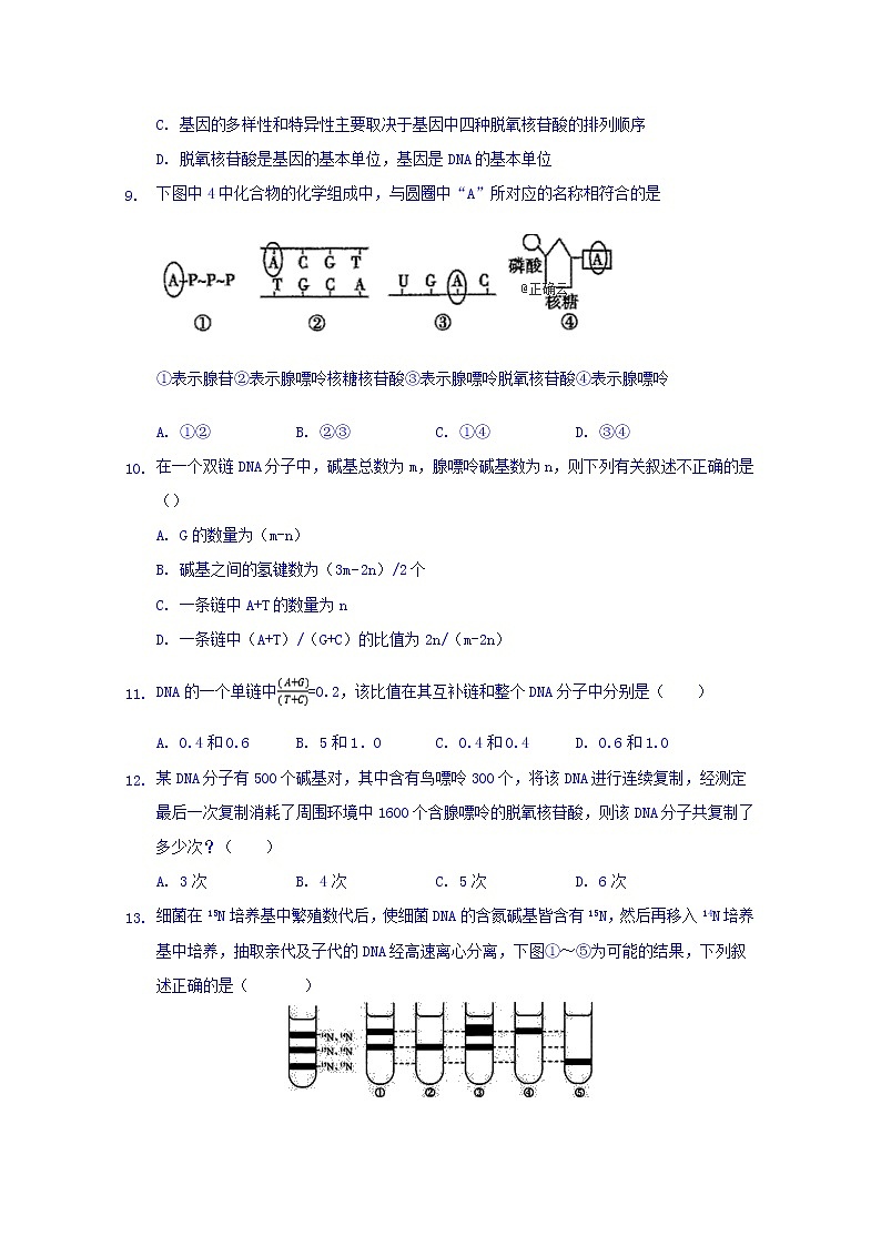 河北省邯郸市大名一中2020届高三上学期第十周周测生物试卷03