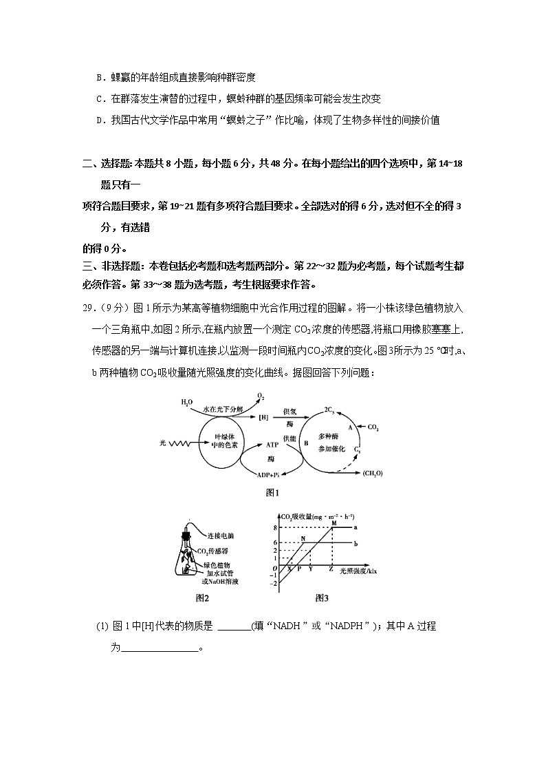 贵州省铜仁第一中学2020届高三下学期防疫期间网上周考（四）生物试题第3页