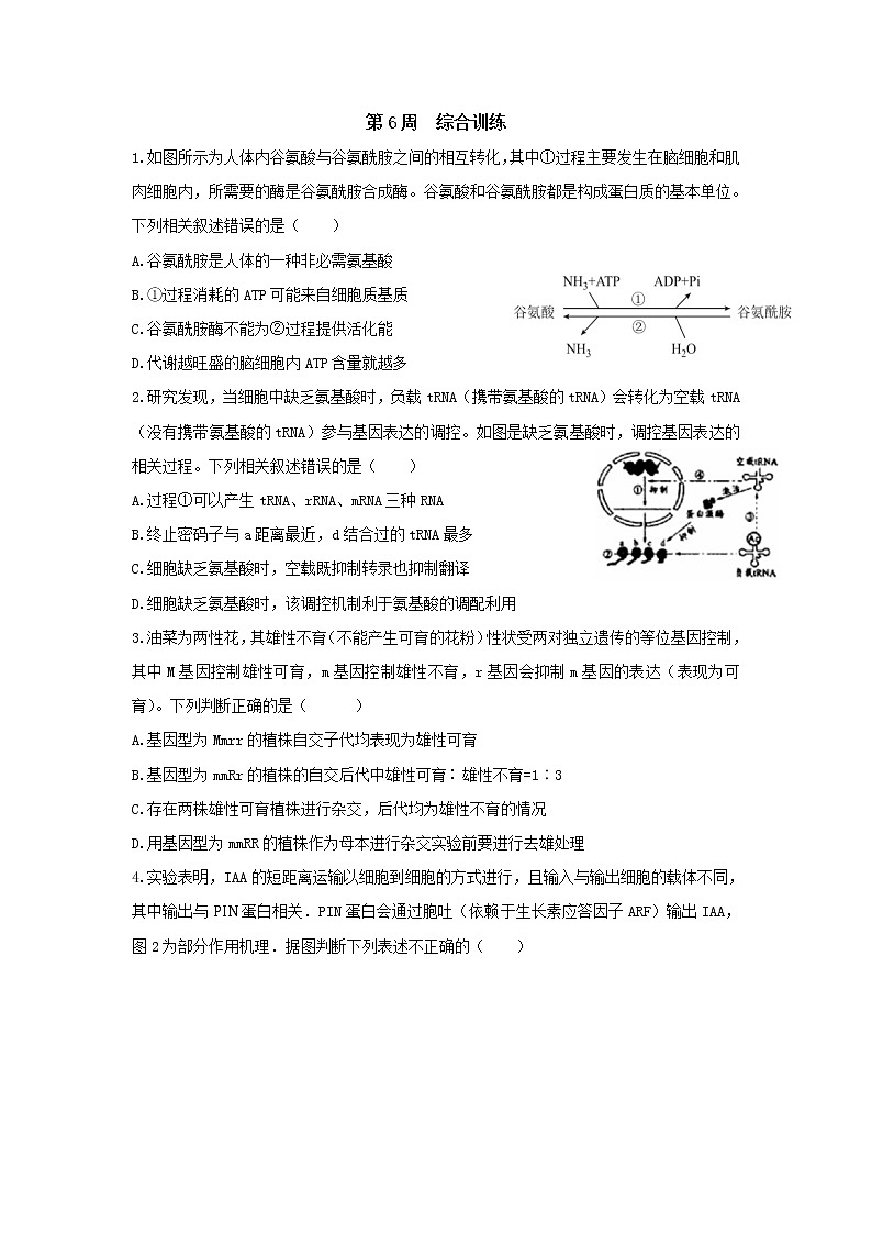 天津市静海区第一中学2020届高三下学期第六周周末训练生物试题01