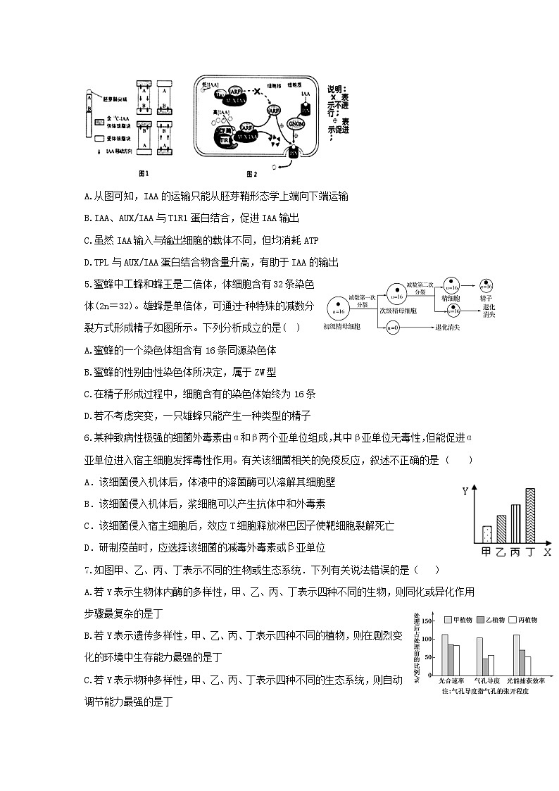 天津市静海区第一中学2020届高三下学期第六周周末训练生物试题02