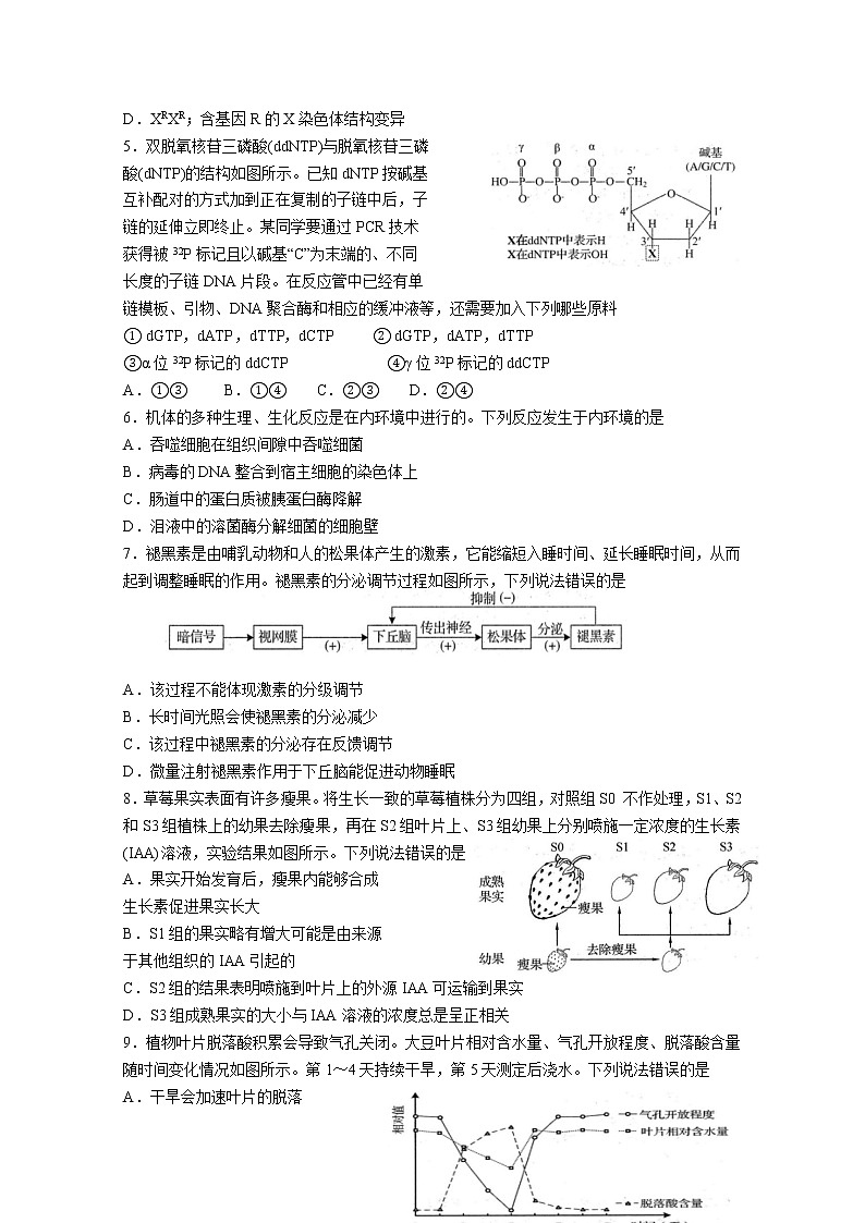 山东省淄博市淄川区般阳中学2020届高三下学期入学衔接考试生物试题02