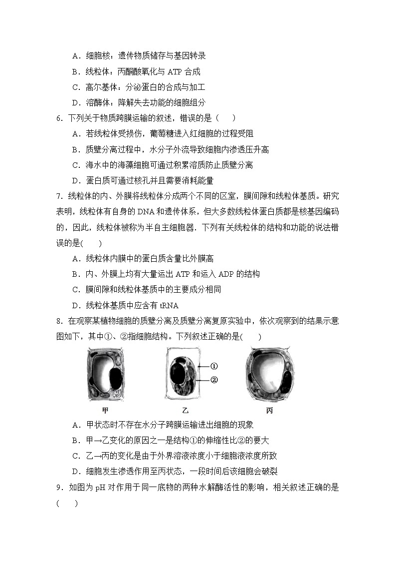 福建省永春第一中学2020届高三上学期期初考试生物试题02