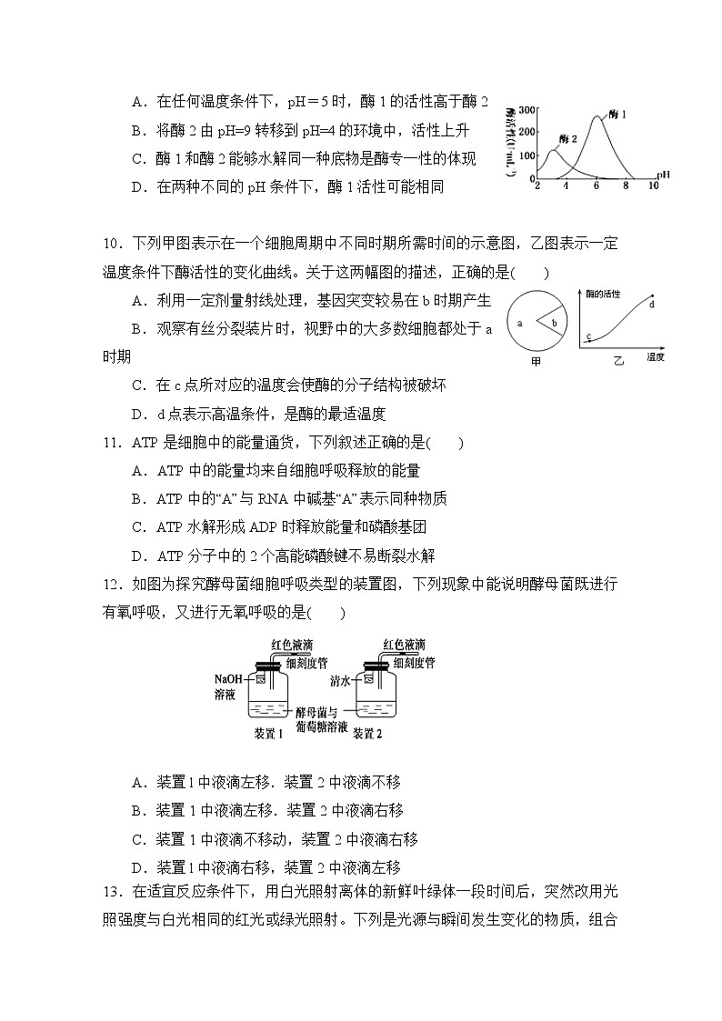 福建省永春第一中学2020届高三上学期期初考试生物试题03