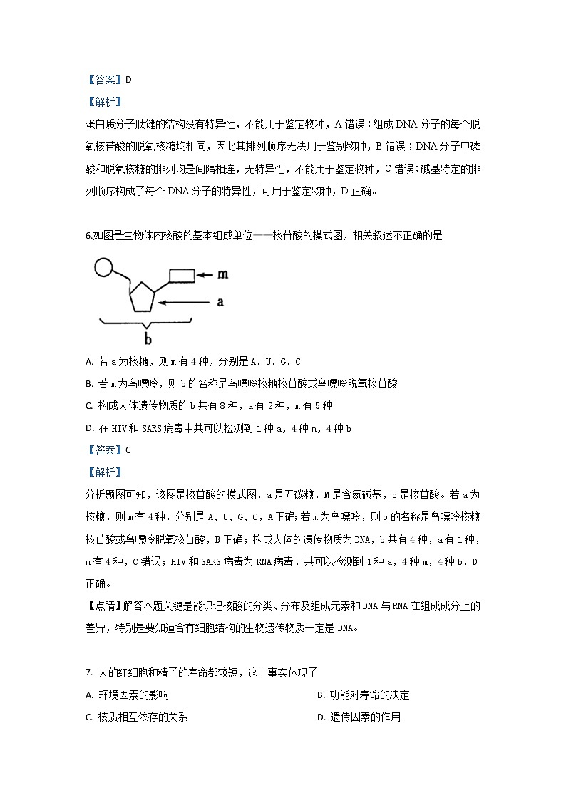 河北省石家庄市辛集中学2020届高三上学期期初生物试题第3页