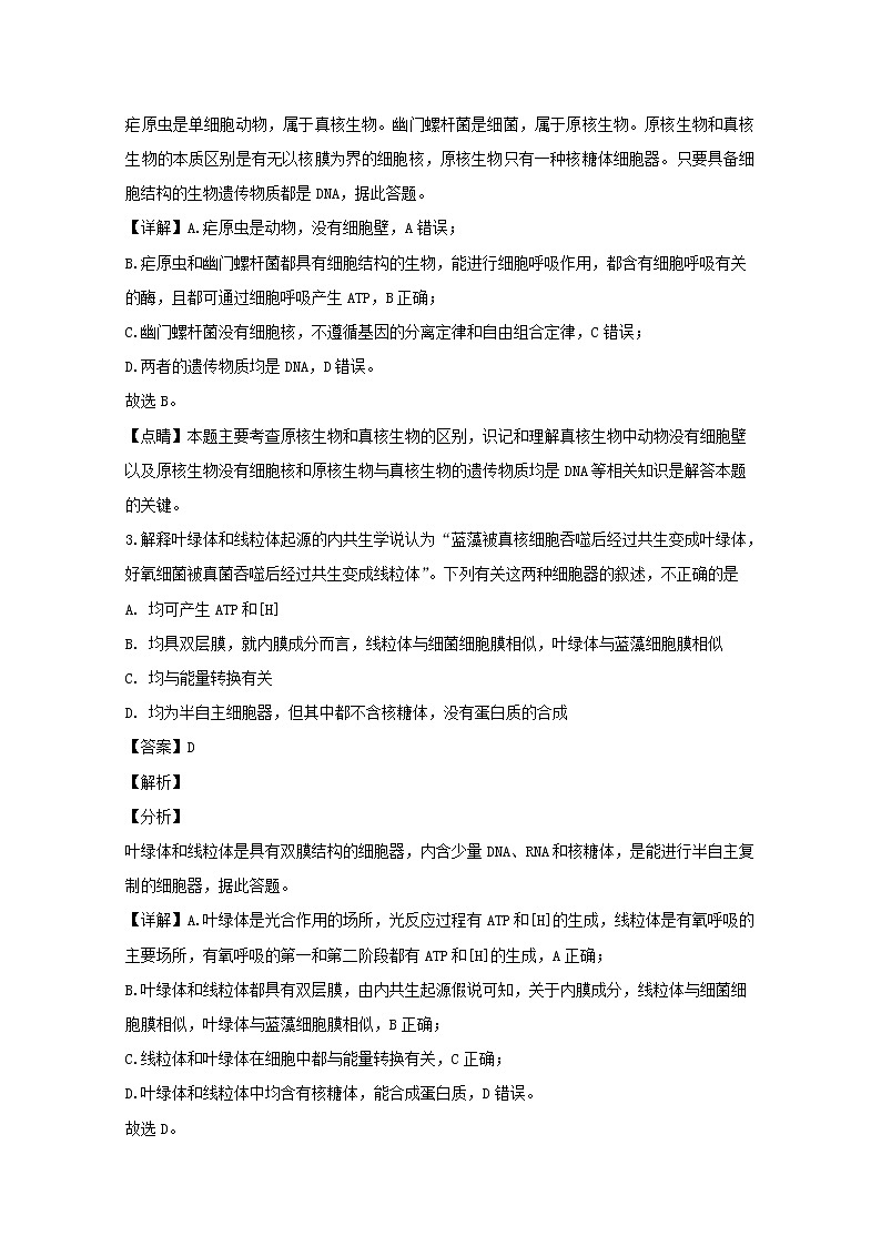 山西省大同市2020届高三上学期第一次联合考试生物试题02