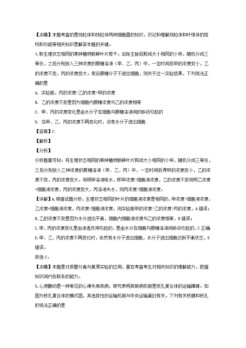 山西省大同市2020届高三上学期第一次联合考试生物试题03