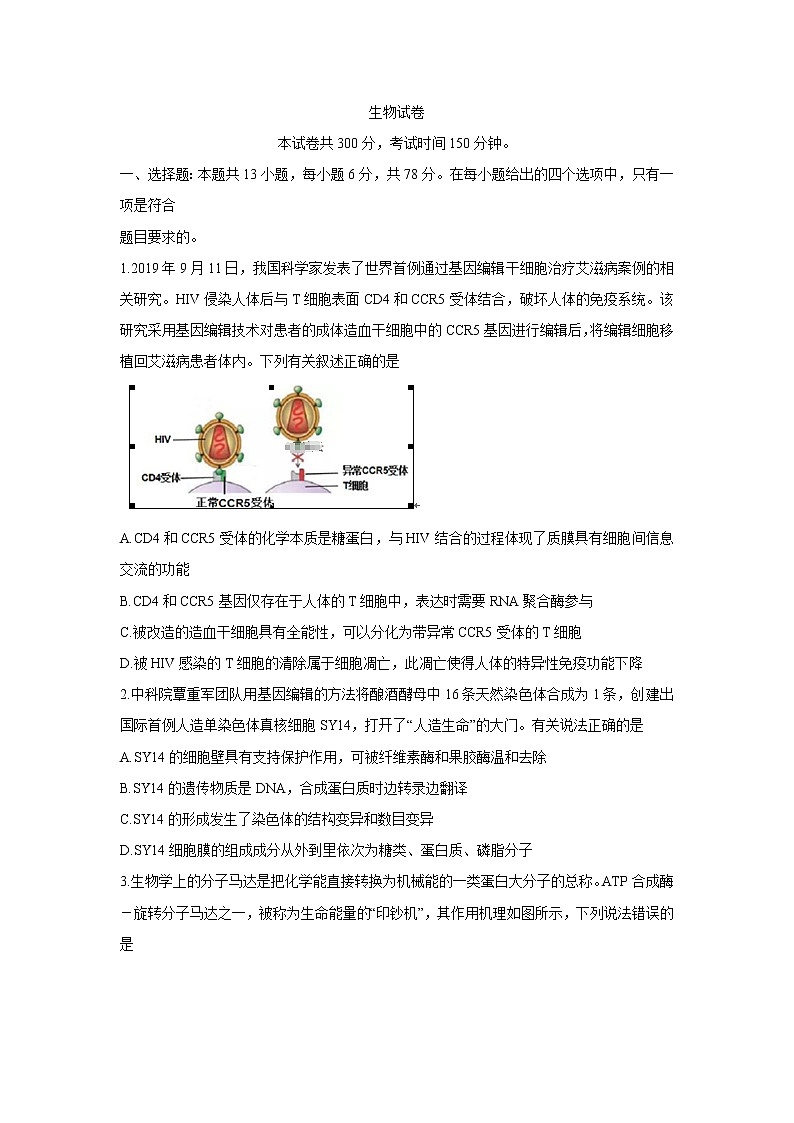 四川省绵阳市南山中学双语学校2020届高三上学期学术能力诊断性测试生物第1页