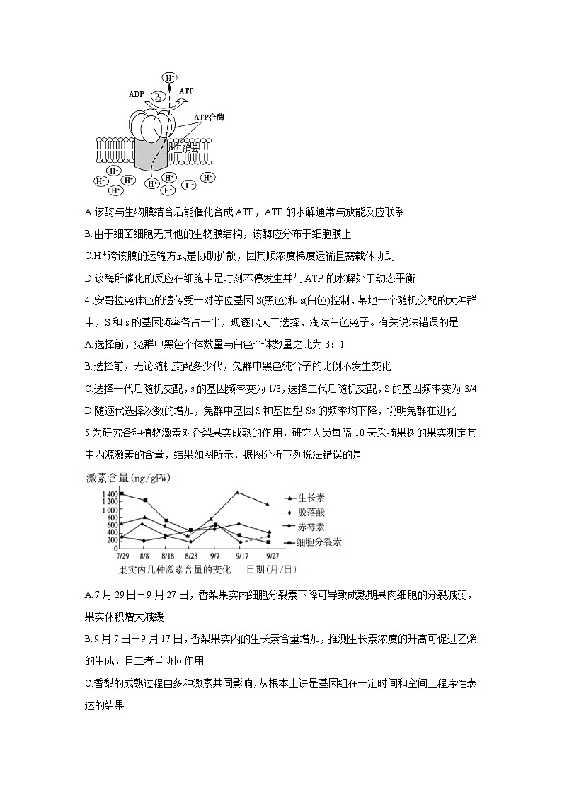 四川省绵阳市南山中学双语学校2020届高三上学期学术能力诊断性测试生物第2页