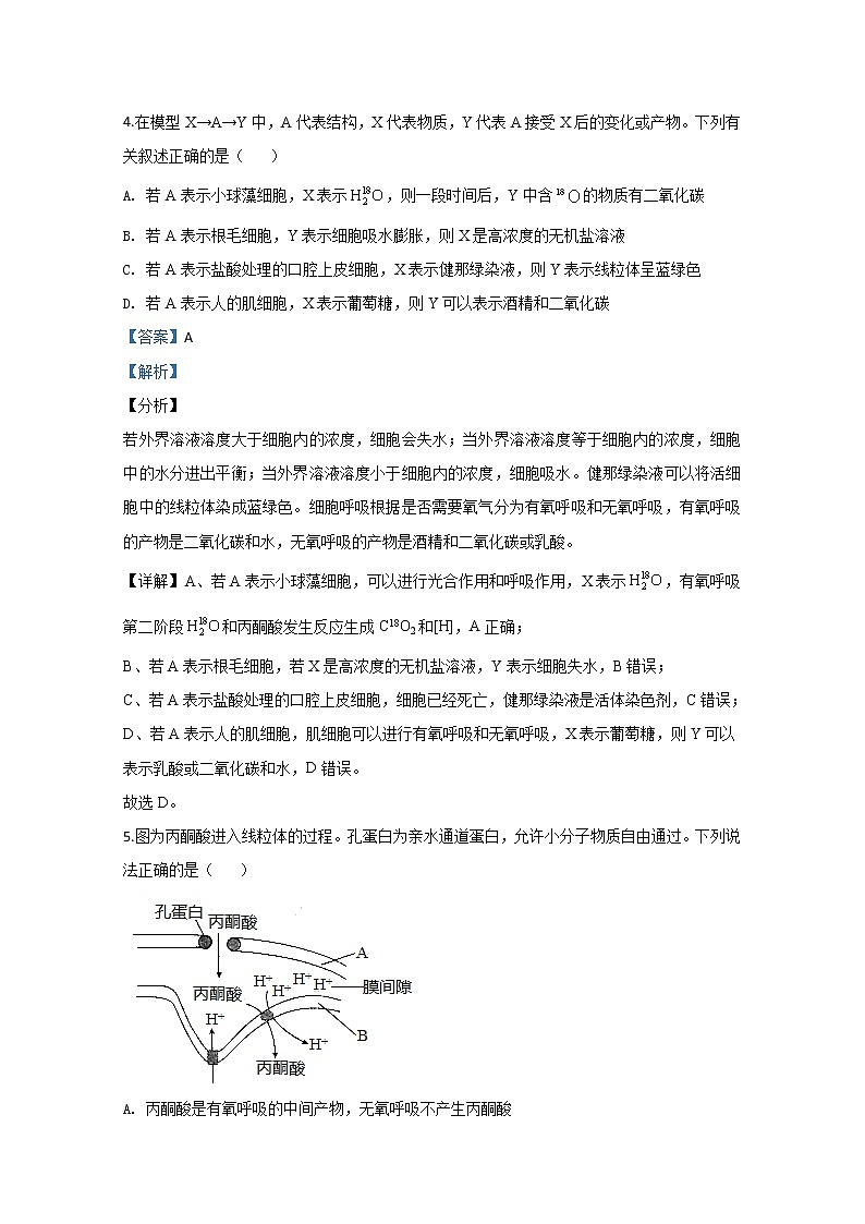 新疆乌鲁木齐市2020届高三上学期第一次质量监测生物试题03
