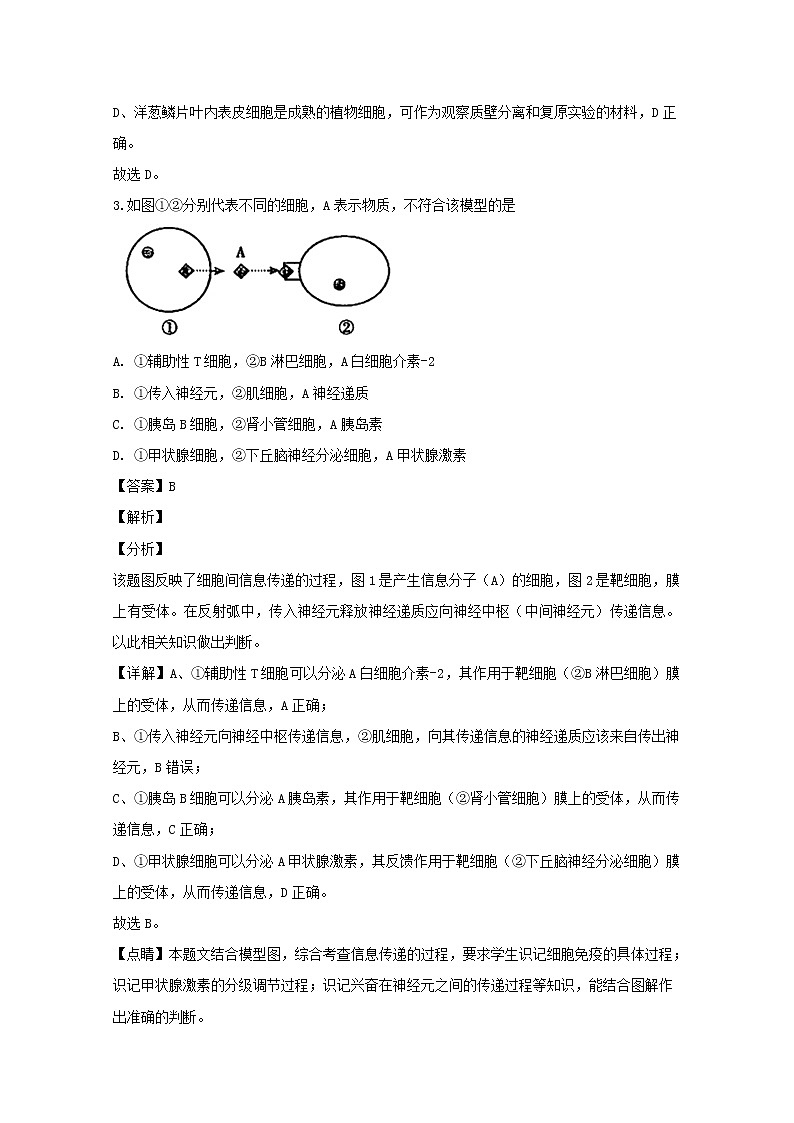 浙江省诸暨市2020届高三上学期诊断性考试生物试题02