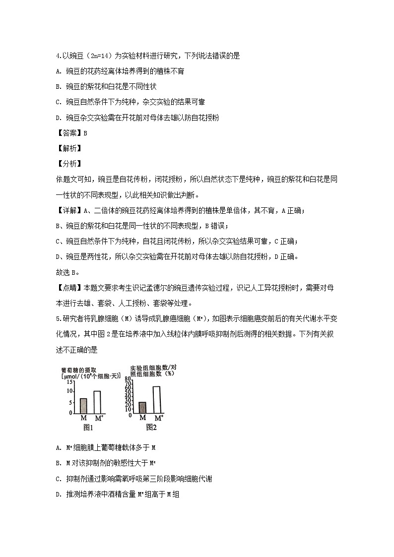 浙江省诸暨市2020届高三上学期诊断性考试生物试题03
