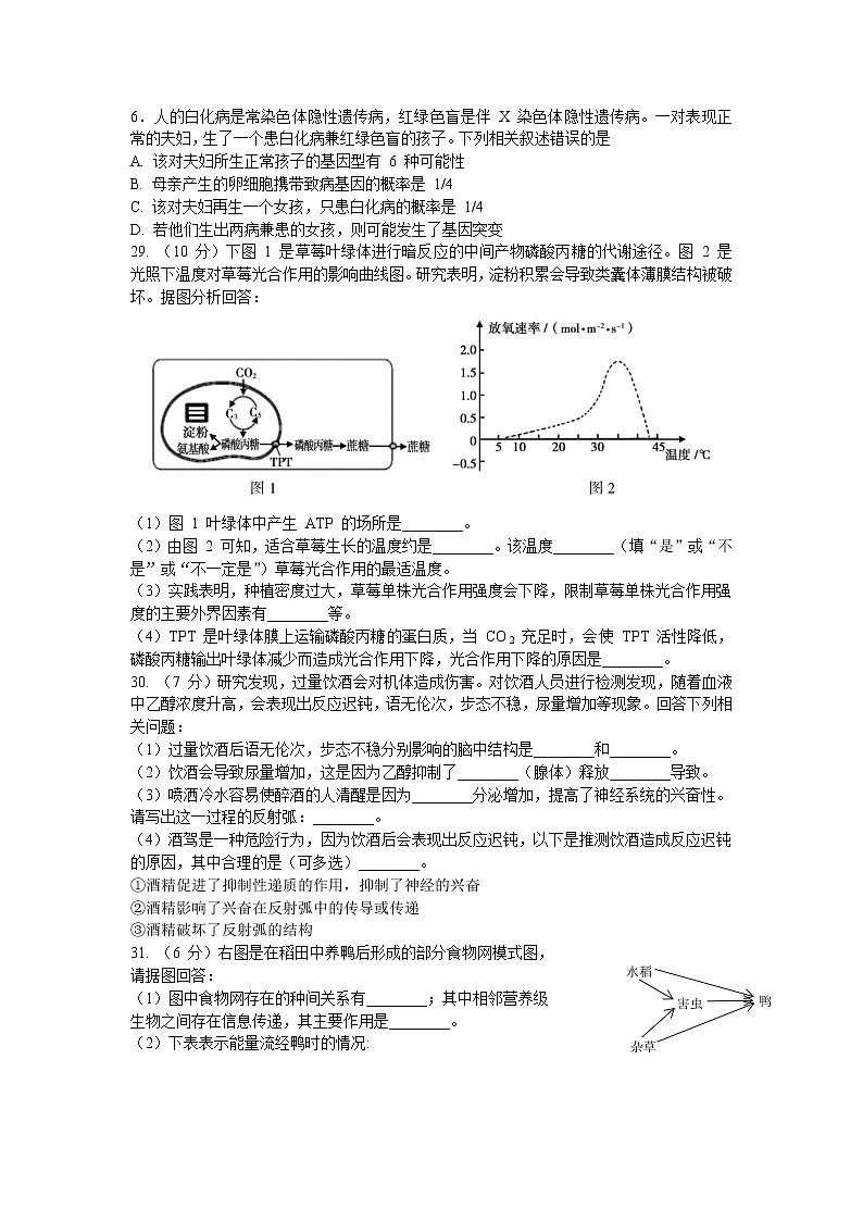 安徽省蚌埠市2020届高三下学期第四次教学质量检查考试理科综合生物试题02