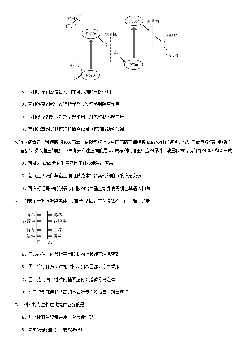 北京市昌平区2020届高三下学期统一练习生物试题02