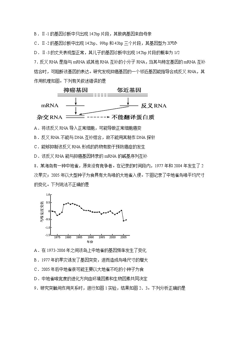 北京市第八中学2020届高三下学期自主测试（二）生物试题03