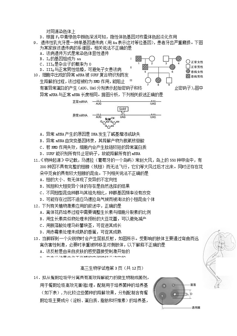 北京市房山区2020届高三下学期衔接诊断测试（二）生物试题 Word含答案03