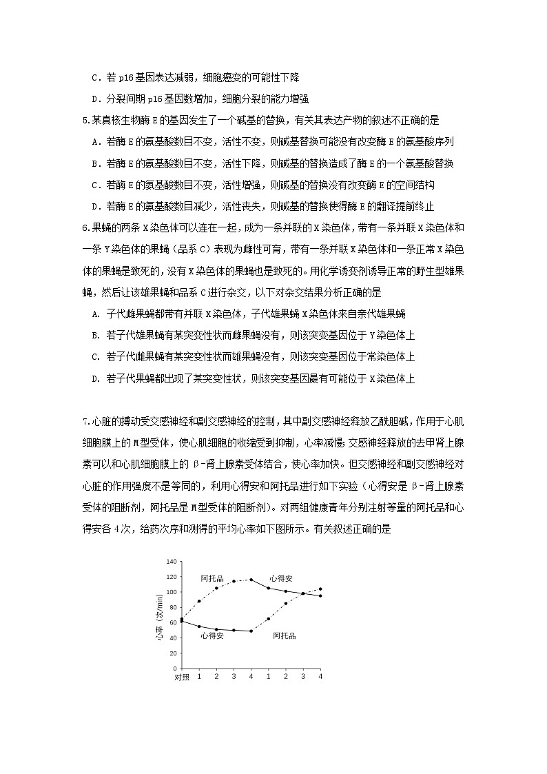 北京市丰台区2020届高三下学期综合练习（一）生物试题第2页
