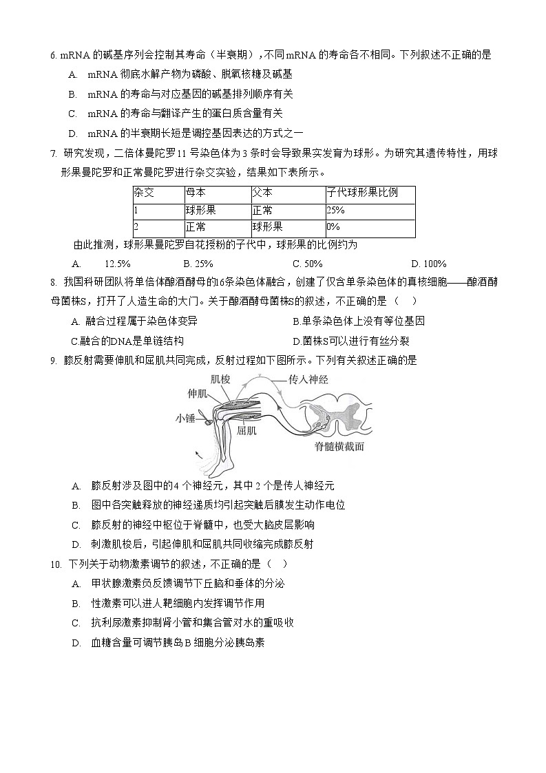 北京市海淀区2020届高三下学期二模考试生物试题02