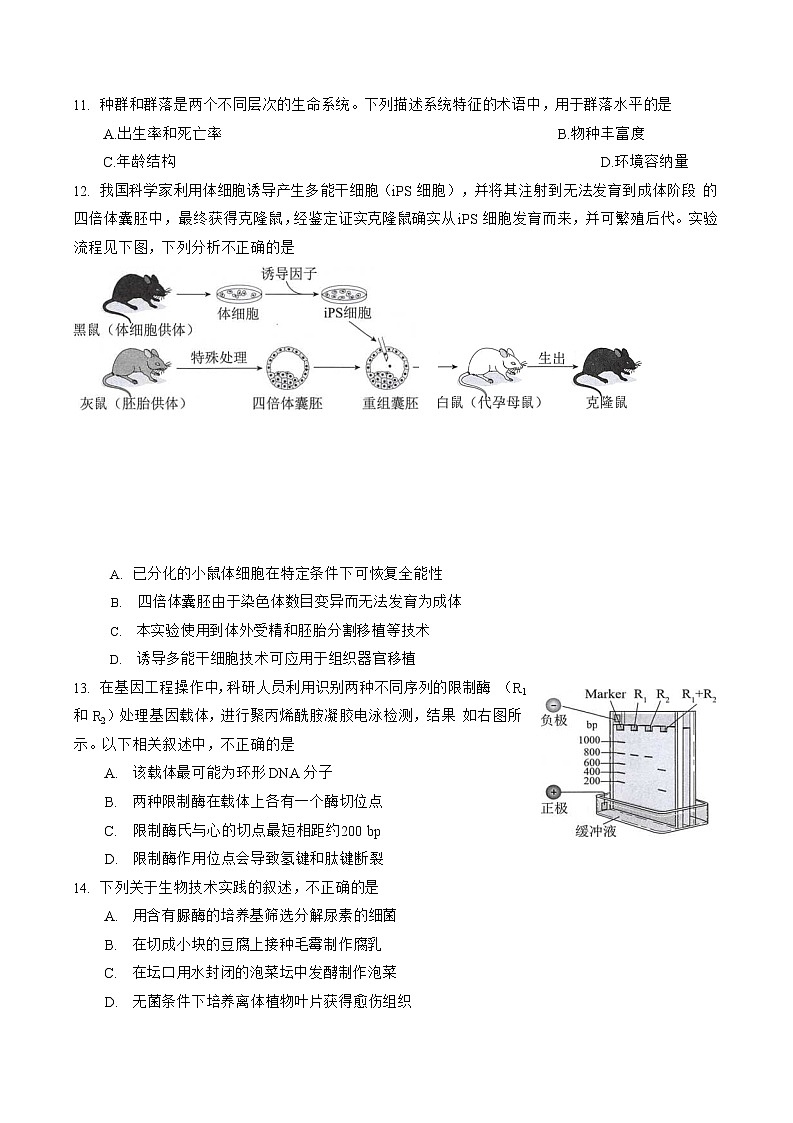 北京市海淀区2020届高三下学期二模考试生物试题03