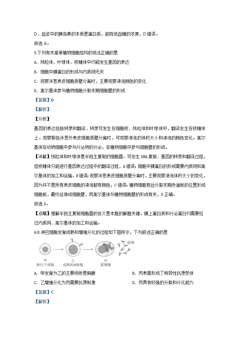 北京市海淀区海淀实验中学2020届高三下学期自主测试生物试题03
