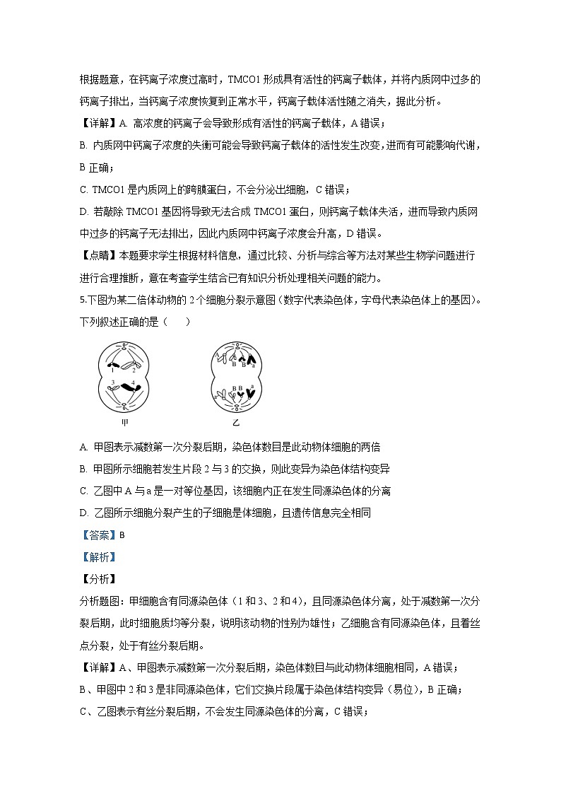 北京市密云区2020届高三下学期第一次阶段性测试生物试题03