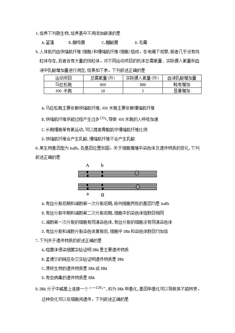 北京市平谷区2020届高三下学期一模考试生物试题02