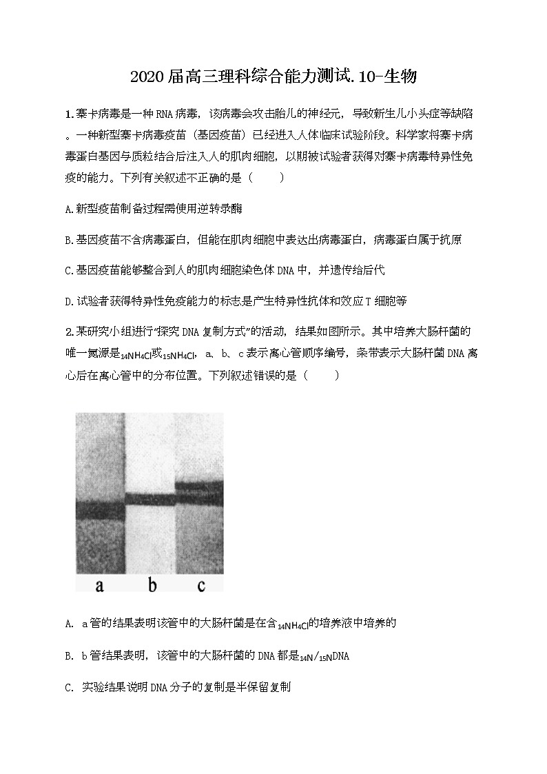 福建省厦门市湖滨中学2020届高三下学期测试（十）理综-生物试题01