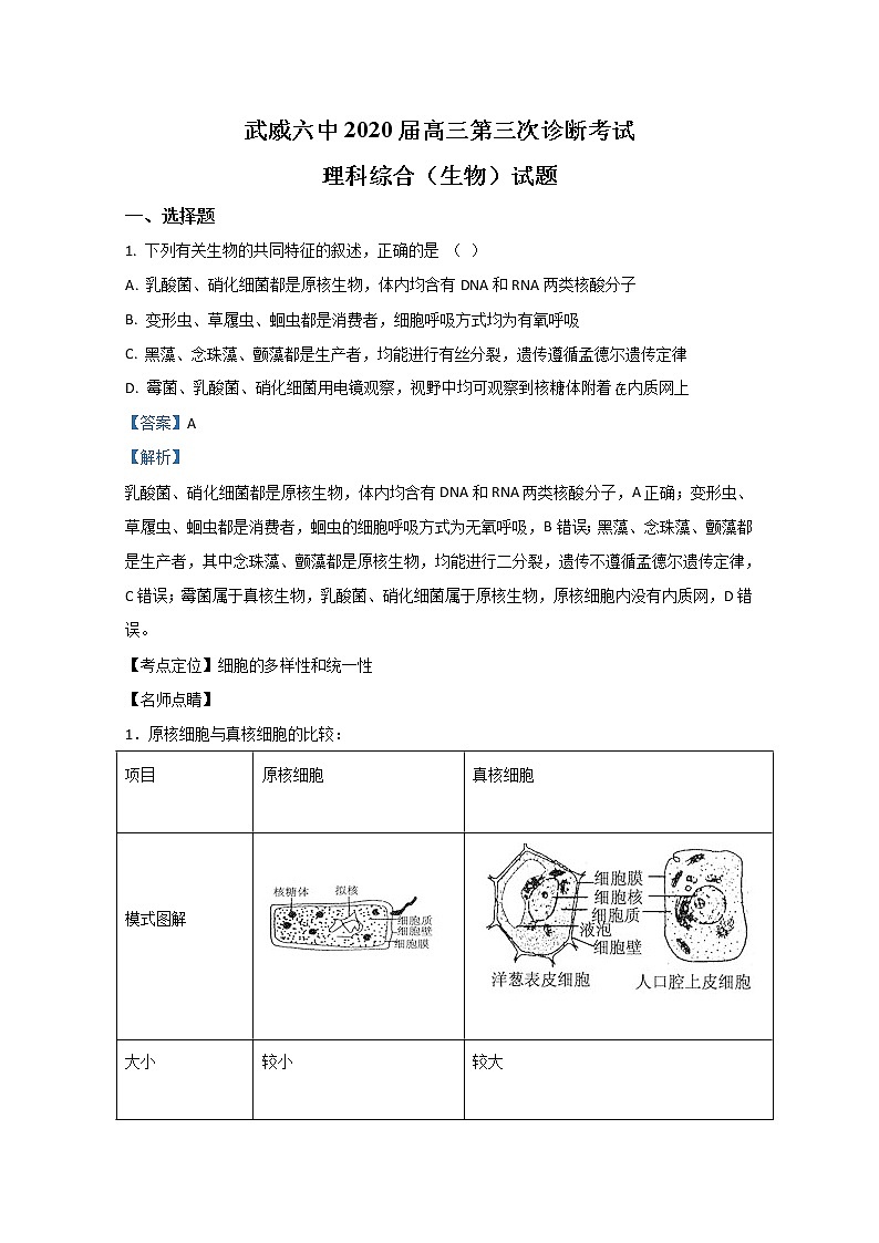 甘肃省武威市六中2020届高三下学期第三次诊断生物试题01