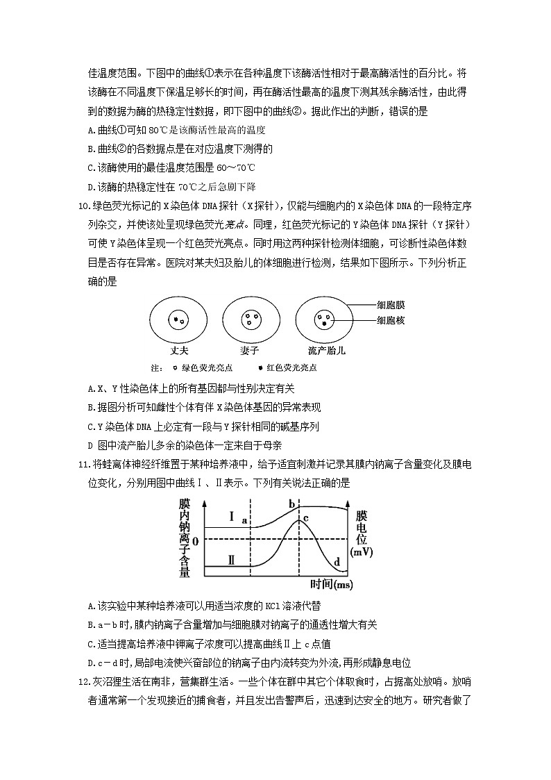 广东省揭阳市揭西县2020届高三下学期综合训练（二）生物试题第3页