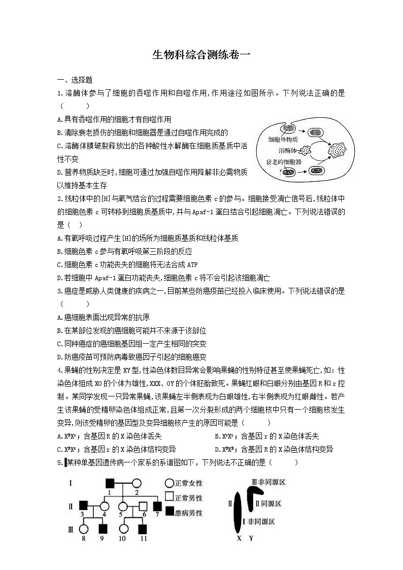 广东省揭阳市揭西县2020届高三下学期综合训练（一）生物试题第1页