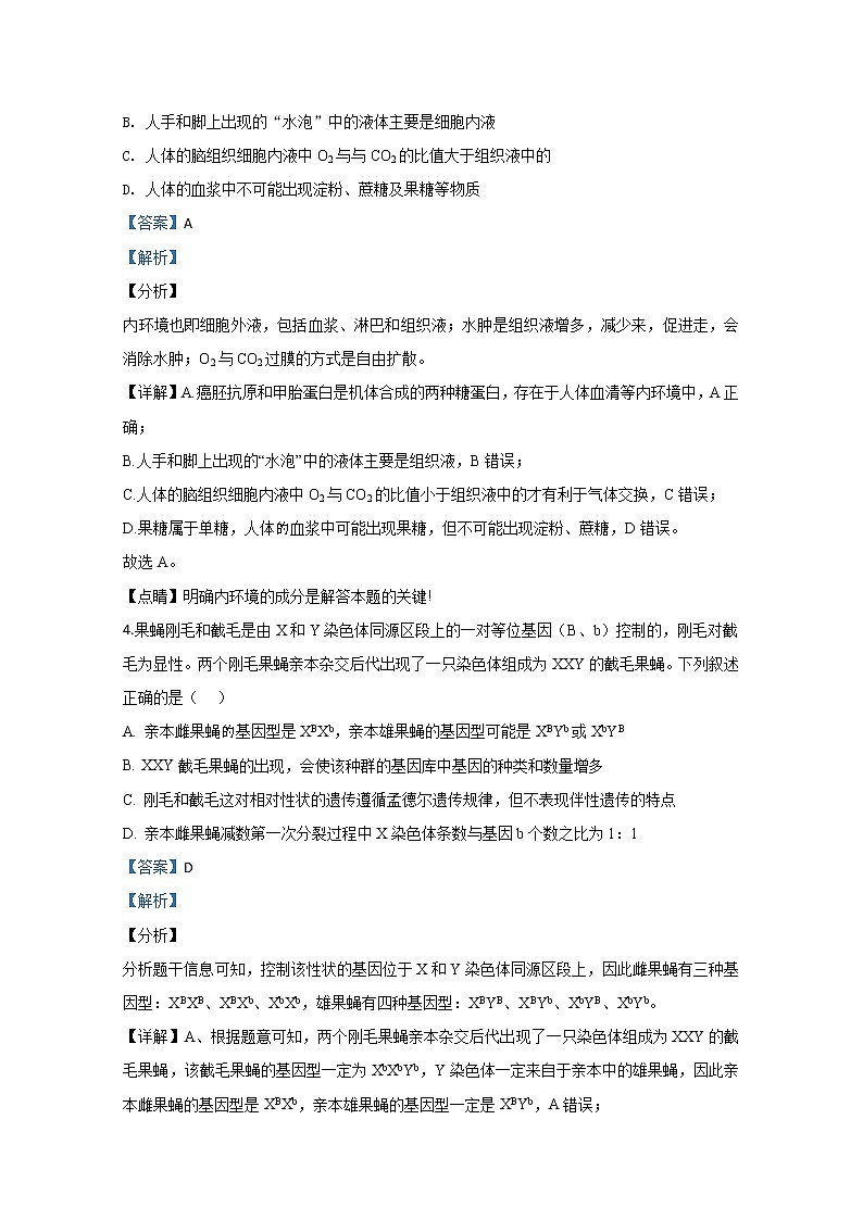 河北省武邑中学2020届高三下学期质检生物试题03