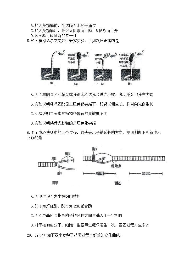 黑龙江省哈尔滨市第三中学2020届高三下学期第一次调研考试生物试题02