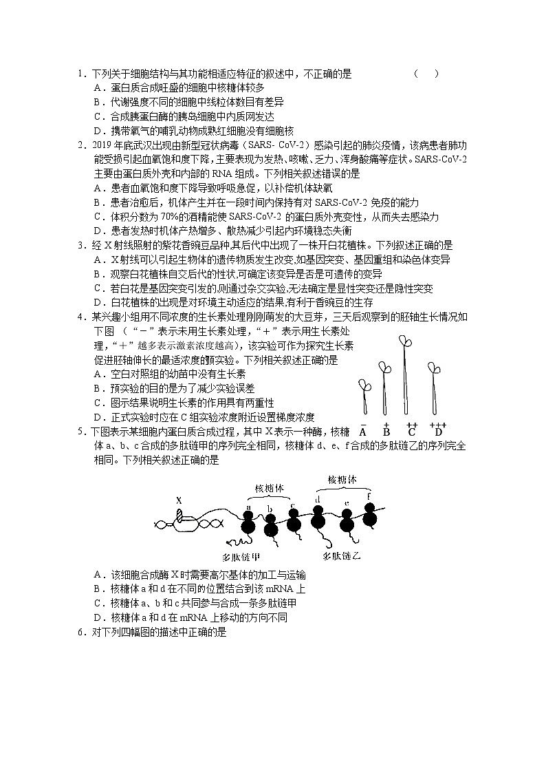 湖北省钟祥市高级中学2020届高三下学期第九次竞赛理科综合生物试题01
